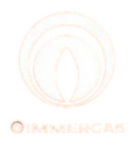 Immergas Immergas